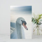 Mute Swan Nature Foto Briefpapier (Stehend Vorderseite)