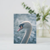 Mute Swan Nature Foto Postkarte (Stehend Vorderseite)