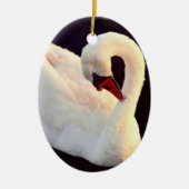 Mute Swan Ornament (Vorne)