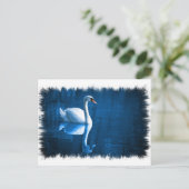Mute Swan Postcard Postkarte (Stehend Vorderseite)