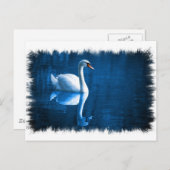 Mute Swan Postcard Postkarte (Vorne/Hinten)
