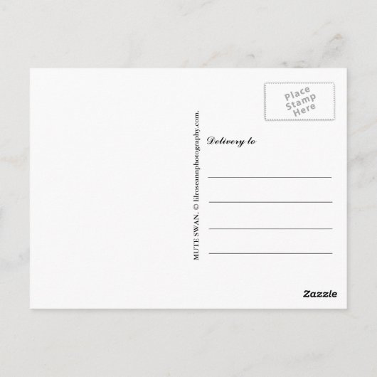 Mute Swan Postkarte (Rückseite)