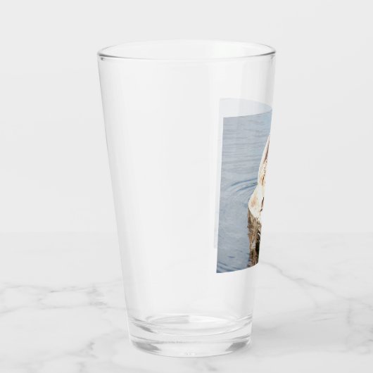 Mute Swan Preening Glas (Rechts)