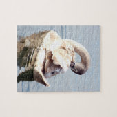Mute Swan Preening Puzzle (Horizontal)