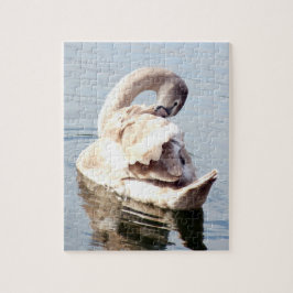 Mute Swan Preening Puzzle