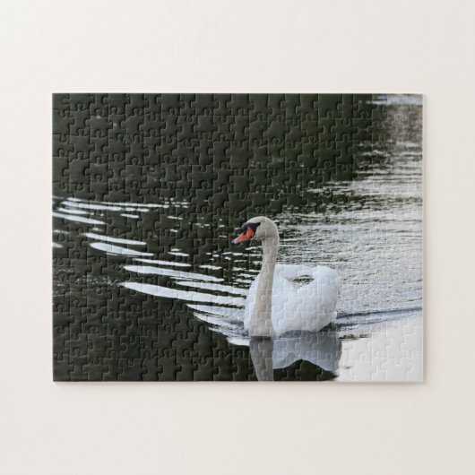 Mute Swan Puzzle (Horizontal)
