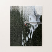 Mute Swan Puzzle (Vertikal)