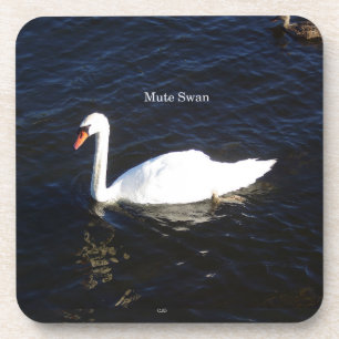 Mute Swan Set von 6 Untersetzer aus Kunststoff