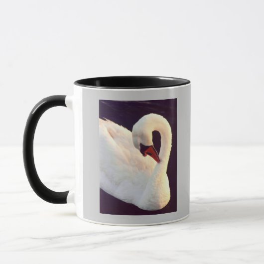 Mute Swan Tasse (Links)