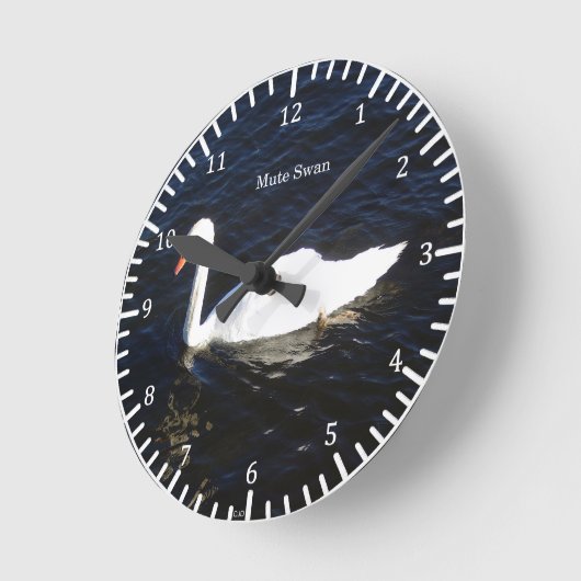 Mute Swan Uhr (Winkel)
