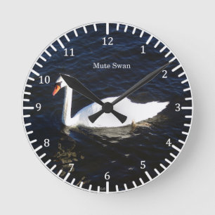 Mute Swan Uhr