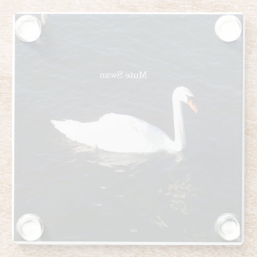 Mute Swan Untersetzer (Rückseite)
