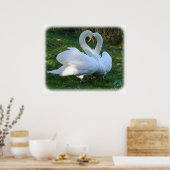 Mute Swans 9Y098D-012 Poster (Küche)