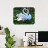 Mute Swans 9Y098D-012 Poster (Heimbüro)