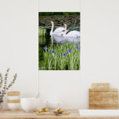 Mute swans & Iris: Value Poster Paper (Küche)