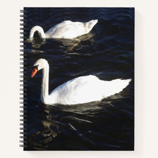 Mute Swans Notebook Notizblock (Vorderseite)