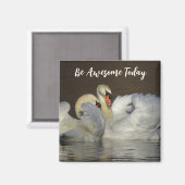Mute Swans - Phantastisch heute Magnet (Vorderseite/Rückseite)