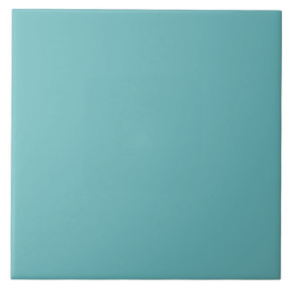 Muted Aqua Ceramic Tile Fliese