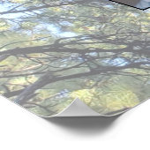 Muted Pine Tree Forest Photo with Two Family Trees Poster (Ecke)