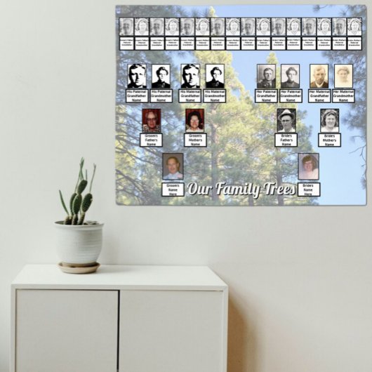 Muted Pine Tree Forest Photo with Two Family Trees Poster