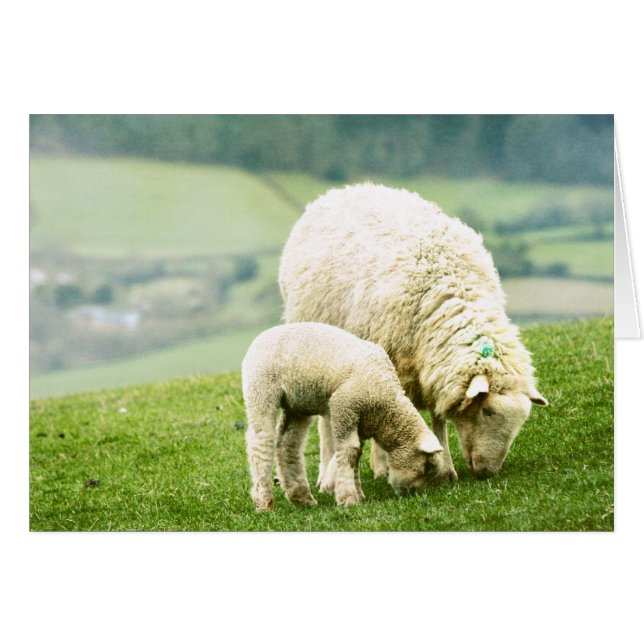 Mutter & Baby (Vorderseite (Horizontal))