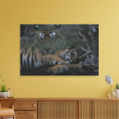 Mutter Bengalisch Tiger mit Cube Leinwanddruck (Insitu (Wohnzimmer))