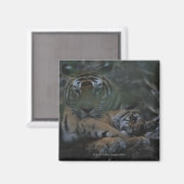 Mutter Bengalisch Tiger mit Cube Magnet (Vorderseite/Rückseite)