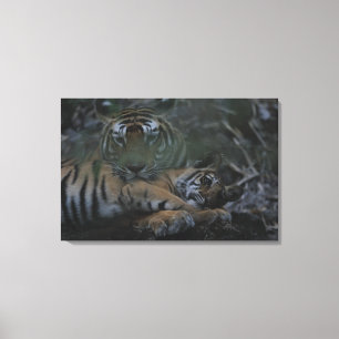 Mutter-bengalischer Tiger mit CUB Leinwanddruck