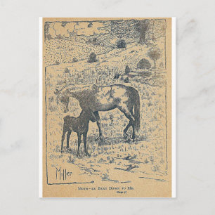 Mutter beugte sich zu mir herab Black Beauty Postkarte