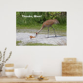 Mutter Bird und Baby Bird Sandhill Cranes Poster (Küche)