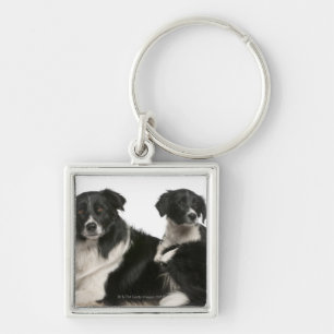 Mutter-Border-Collie und -welpe Schlüsselanhänger