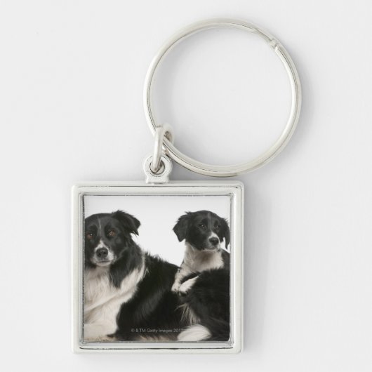 Mutter-Border-Collie und -welpe Schlüsselanhänger (Vorne)