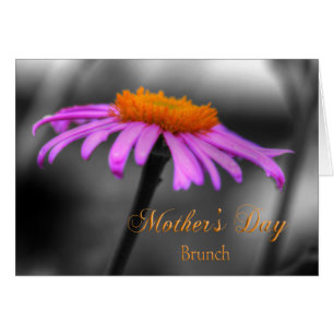 Mütter Day Brunch Lila und Orange Coneflower
