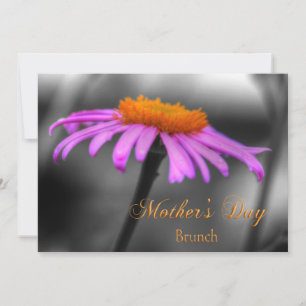 Mütter Day Brunch Lila und Orange Coneflower Karte