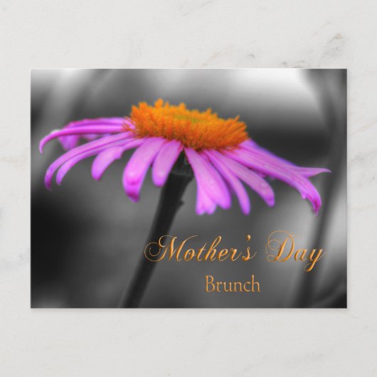 Mütter Day Brunch Lila und Orange Coneflower Postkarte (Vorderseite)