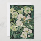 Mütter Day White Floral Feiertagskarte (Vorderseite)