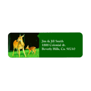 Mutter Deer u. Baby-Kitz
