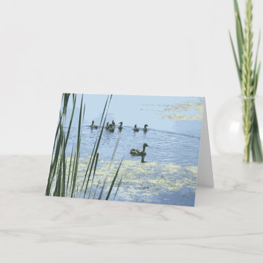 Mutter Duck mit ihren Ducklings in einem Teich sch Karte (Vorderseite)
