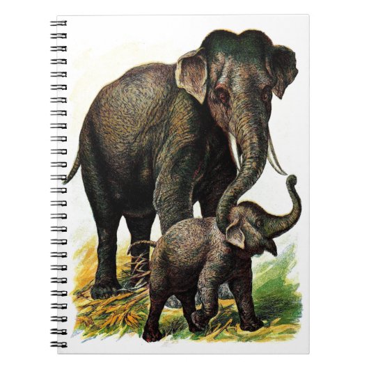 Mutter-Elefant mit Kalb Notizblock (Vorderseite)