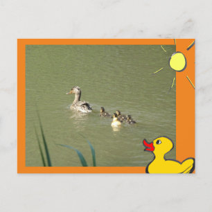 Mutter Ente mit Young & Cartoon DIY Postcard Postkarte