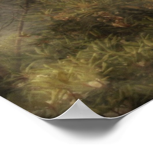 Mutter Erde Poster (Ecke)