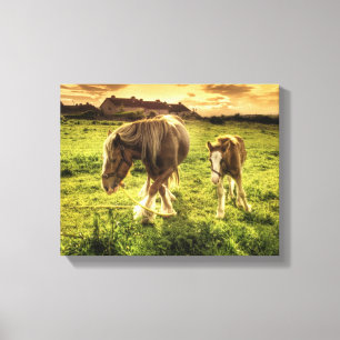 Mutter & Foal Pferd Leinwanddruck