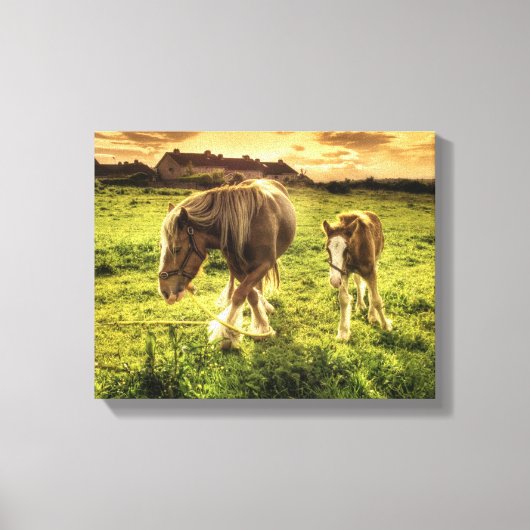 Mutter & Foal Pferd Leinwanddruck (Vorderseite)