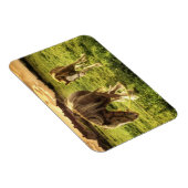 Mutter & Foal Pferd Magnet (Rechte Seite)