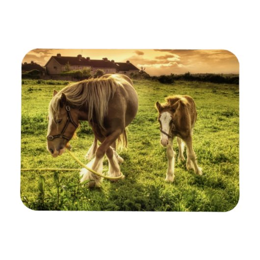 Mutter & Foal Pferd Magnet (Horizontal)