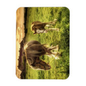 Mutter & Foal Pferd Magnet (Vertikal)
