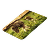 Mutter & Foal Pferd Magnet (Linke Seite)