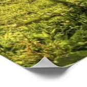 Mutter & Foal Pferd Poster (Ecke)