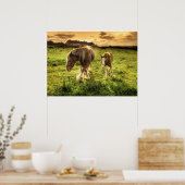 Mutter & Foal Pferd Poster (Küche)
