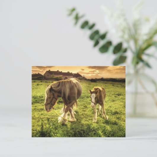 Mutter & Foal Pferd Postkarte (Stehend Vorderseite)